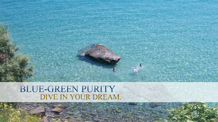 Blue-Green Purity